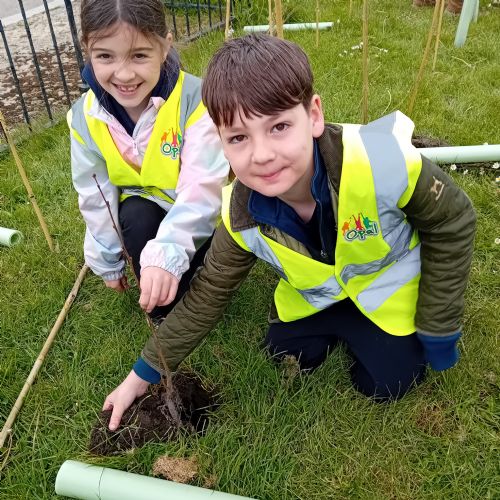 Hedgerow Planting